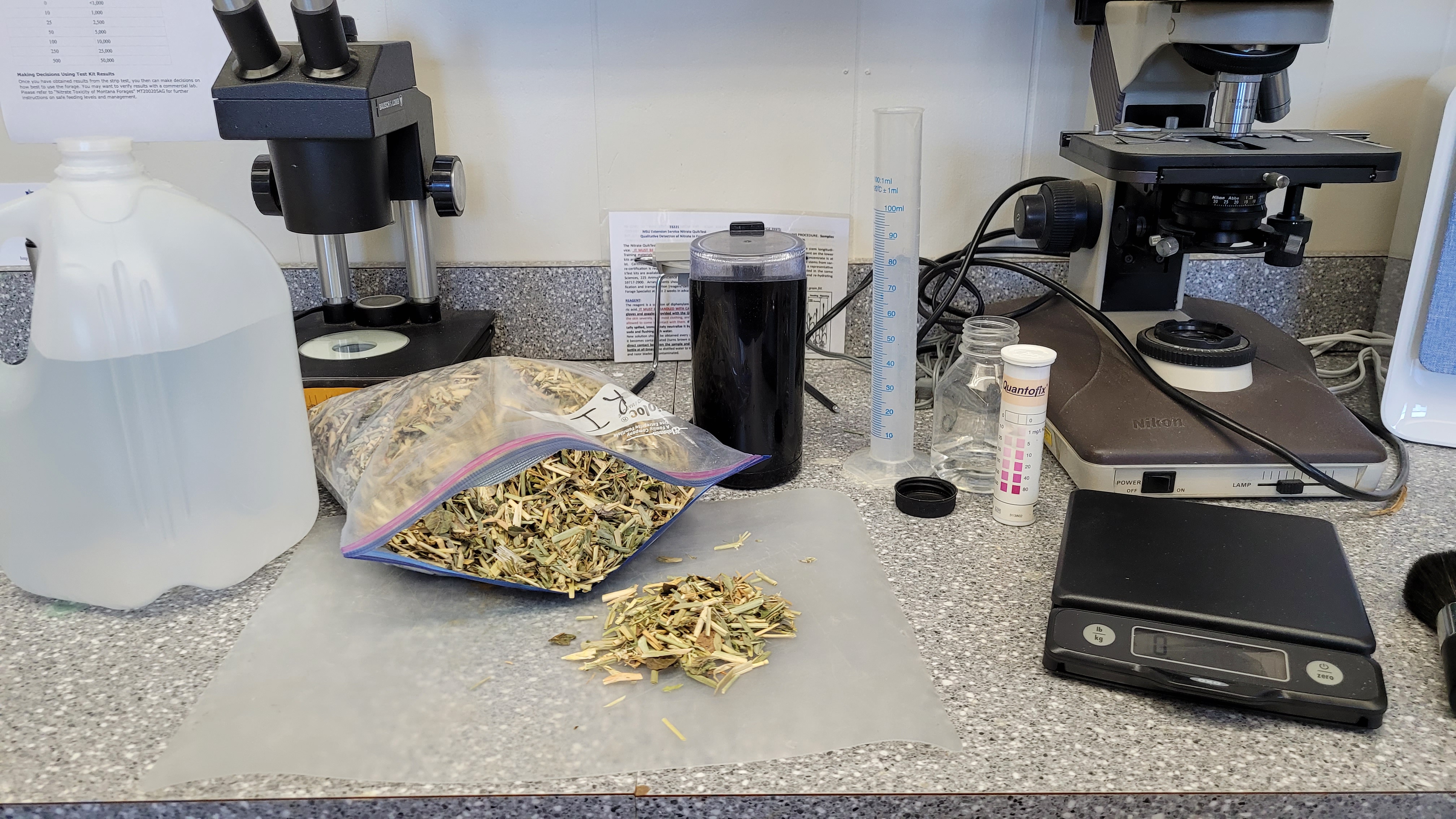 Testing for nitrates in a forage sample in Teton County