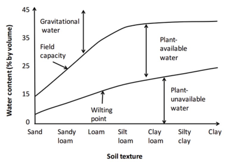 A line graph demonstrating the relationship between soil textural class and water content.