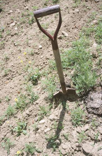 Shovel in dry soil