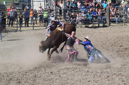 Photo of riding falling off bull being helped by 2 rodeo clowns. Photo by Wendy Wedum
