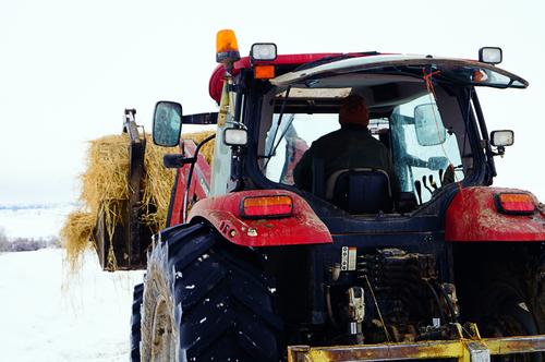 Tractor hauling hay in the winter