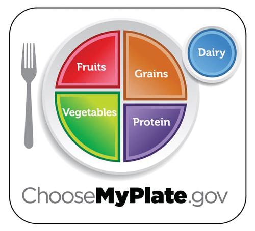 A plate showing food from five food groups of fruits, grains, vegetables, protein and dairy. 