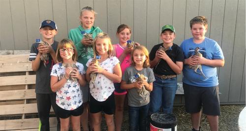 Eight kids hold their eight week old pheasants. 