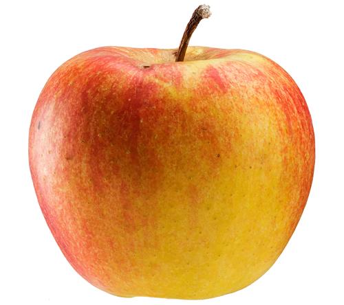 photo of gold and red apple on white background