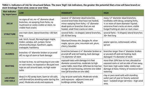 TABLE 1. Indicators of risk for structural failure. The more 'high' risk indicators, the greater the potential that a tree will have branch or stem breakage from wind, snow or over time.