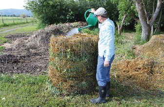 Compost piles often become too dry in Montana’s sunny and windy conditions.  Add water to the pile as needed.