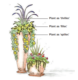 diagram of plant