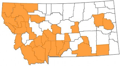 Map of Montana with counties where St. Johnswort has been reported colored orange.