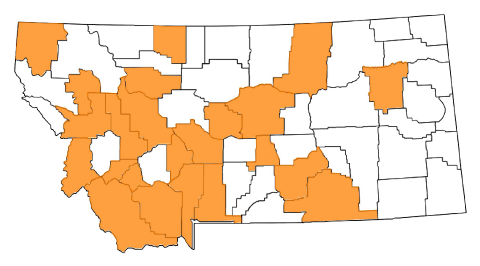 A map of Montana with counties where perennial pepperweed has been reported colored orange.