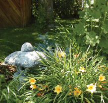 Daylillies in a backyard garden next to a small stone statue
