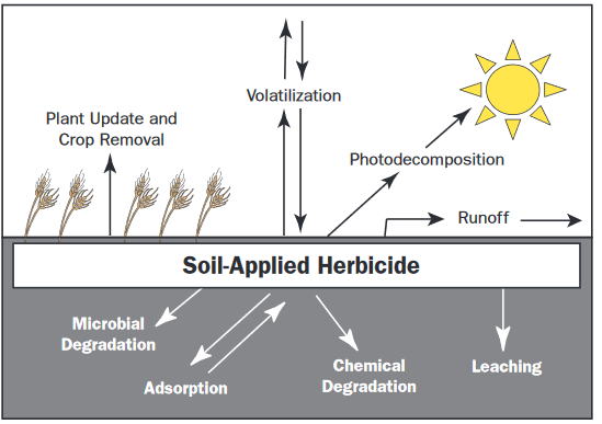 chart for herbicide and the water cycle