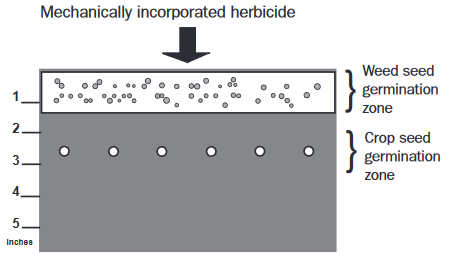 chart for incoporated herbicide with germination zones