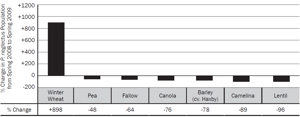 FIGURE 4. Average P. neglectus population changes (as % of initial) between spring 2008 and spring 2009 for seven rotation options.