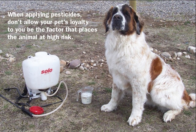 A photo of a dog sitting beside a pesticide sprayer. Text reads: When applying pesticides, don't allow your pet's loyalty to you be the factor that places the animal at high risk.