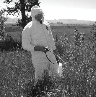 Black and white photo of a person spraying pesticides onto crops.