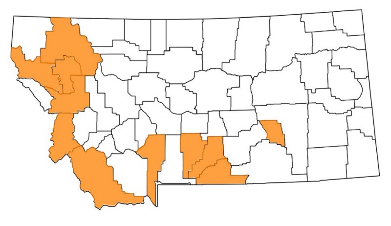 A map of Montana with counties where yellow starthistle has been reported highlighted in orange