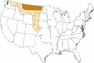FIGURE 2. Region where the wheat stem sawfly has historically posed the greatest risk to wheat production in the Northern Great Plains (Map modified by Kendra Grams and Sheila Torgunrud, Agriculture and Agri-Foods Canada, Lethbridge, Alberta)