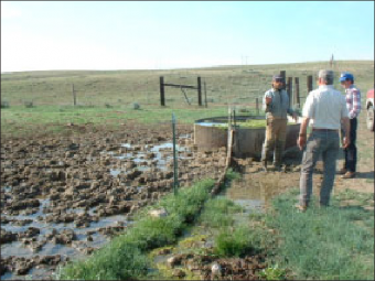 Three men standing around an overflowing stock tank in a muddy pasture.