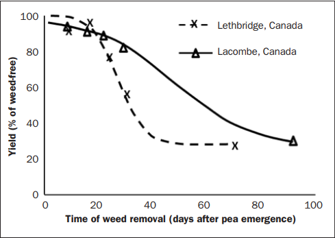 FIGURE 3. Effect of time of wild oat removal on percentage of pea grain yield loss as Yield (% of weed-free) percentage of weed-free plots at Lethbridge and Lacombe, Canada. (Adapted from Harker and collaborators. 2001. Timing of weed removal in field Pea (Pisum sativum). Weed Technology 15, pages 277-283.)