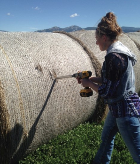 A person forage sampling round bales with a probe. 