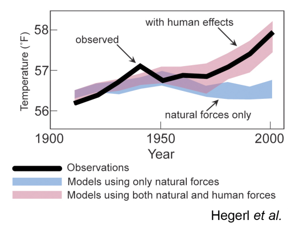 average temperature graph 1900-2000