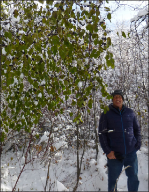 Whole buckthorn plant in the late fall with person nearby for scale.