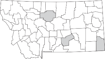 Black and white map of Montana with Carter, Yellowstone, and Chouteau counties highlighted in gray to show the presence of brome.