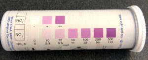 Figure 3 is a photo of the side of the bottle of the Nitrate Strip Test with a color representing different categories of NO3- levels
