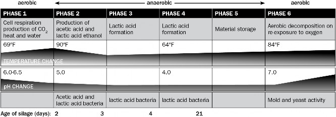 Table graphic showing the 6 phases of the ensiling process.