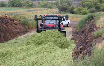 photo of green mounds of forage being loaded into a pit ready to ensile.