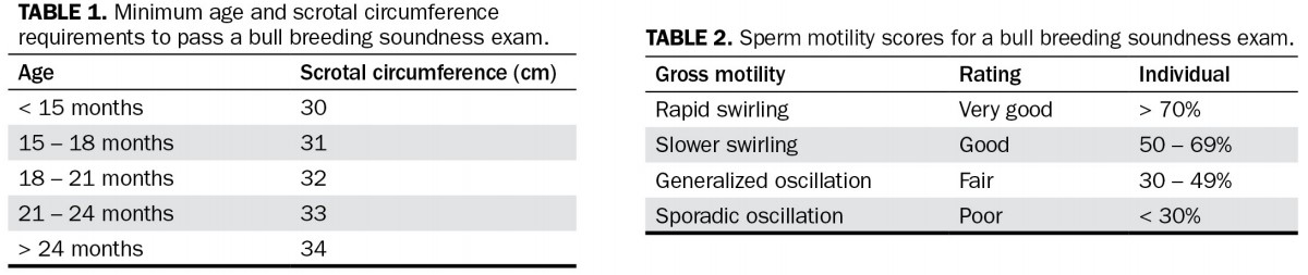 Table 1 showing minimum age and scrotal circumference requirements to pass a bull breeding soundness exam, and Table 2 showing sperm motility scores for bull breeding soundness exam.