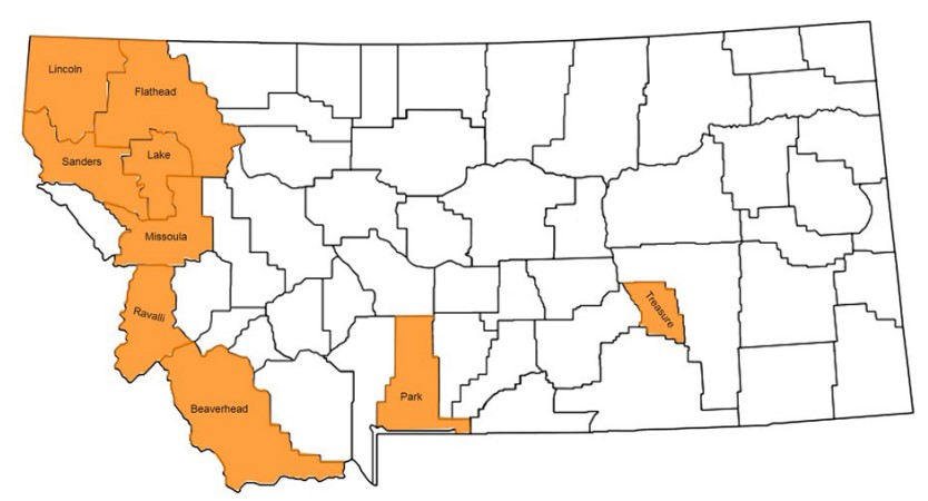 Map of counties where rush skeletonweed has been reported colored orange.