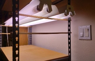 An indoor growing system with fluorescent lightbulbs