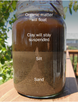Photo of soil in a jar that has been separated by texture as part of a DIY soil texture test. Organic matter floats at the top. Clay stays suspended in a layer just beneath the organic matter. A layer of silt resides beneath the clay layer, with a clearly-visible separation occuring naturally between the two layers. Sand forms the bottom layer of the jar, beneath the silt layer.