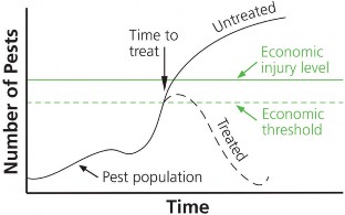 Graph demonstrating how an economic threshhold keeps pest populations from reaching the economic injury level.