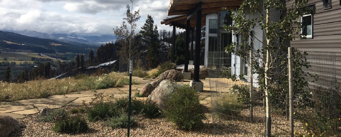 Photograph of fire resistant landscaping. All plants arranged with adequate spacing and away from home. Short plants, deciduous plants spaced apart. Aspen trees spaced away from each other, the home and the short plants. Rock used in lieu of mulch.