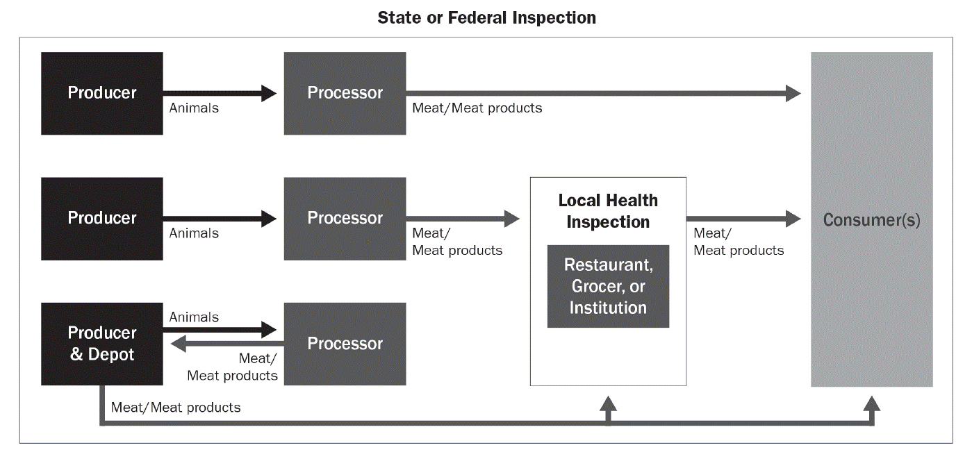 A flow chart showing the steps of the State or Federal Inspection pathway of local meat. 