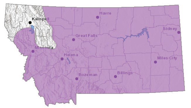 A map showing the range of the Prairie Rattlesnake in Montana shown in purple. Only the northwest corner of the state doesn't have them.