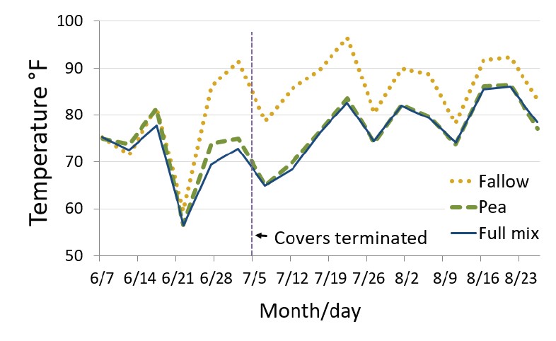 A graph showing summer soil temperature at 2-inch depth at 4pm in fallow, pea, and mixed species cover crop