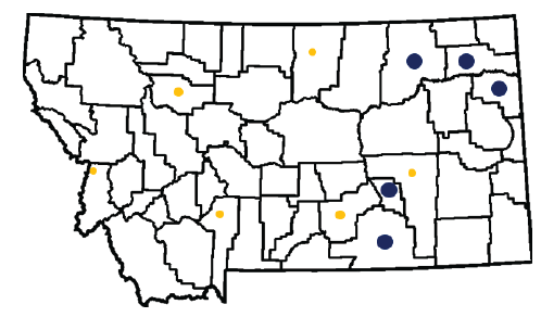 A map of Montana showing major soybean growing counties 