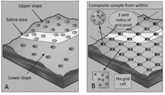 field divided into zones for different sampling options