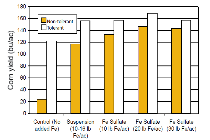 Bar graph demonstrating that corn yield is lowest in situations with no added iron, and is about six times higher in tolerant hybrids compared to non-tolerant hybrids.