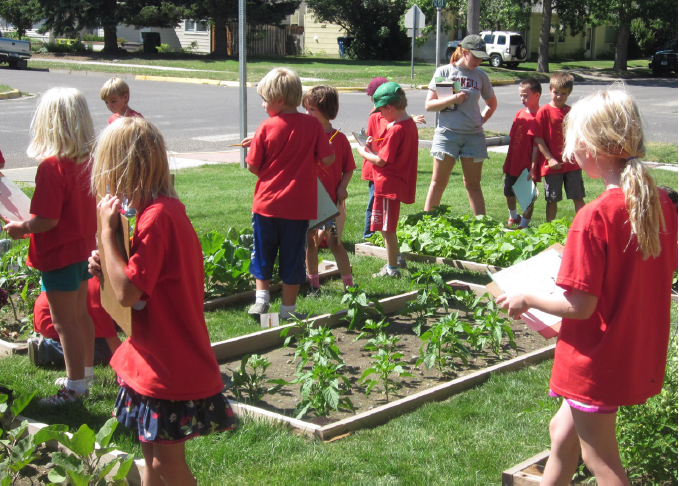 A group of children and a teacher walking through garden beds