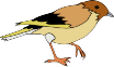 A cartoon image of a sparrow