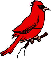 A cartoon image of a cardinal