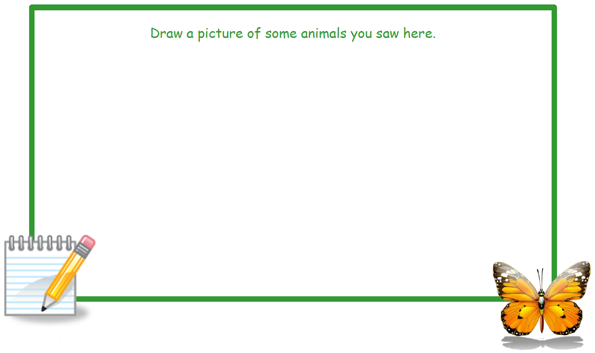 A blank box with a green border and text that reads 
