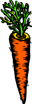 A cartoon drawing of a carrot