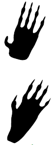 A cartoon of two black racoon handprints