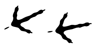 A cartoon image of two black bird prints