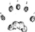 Gray Squirrel hind foot print